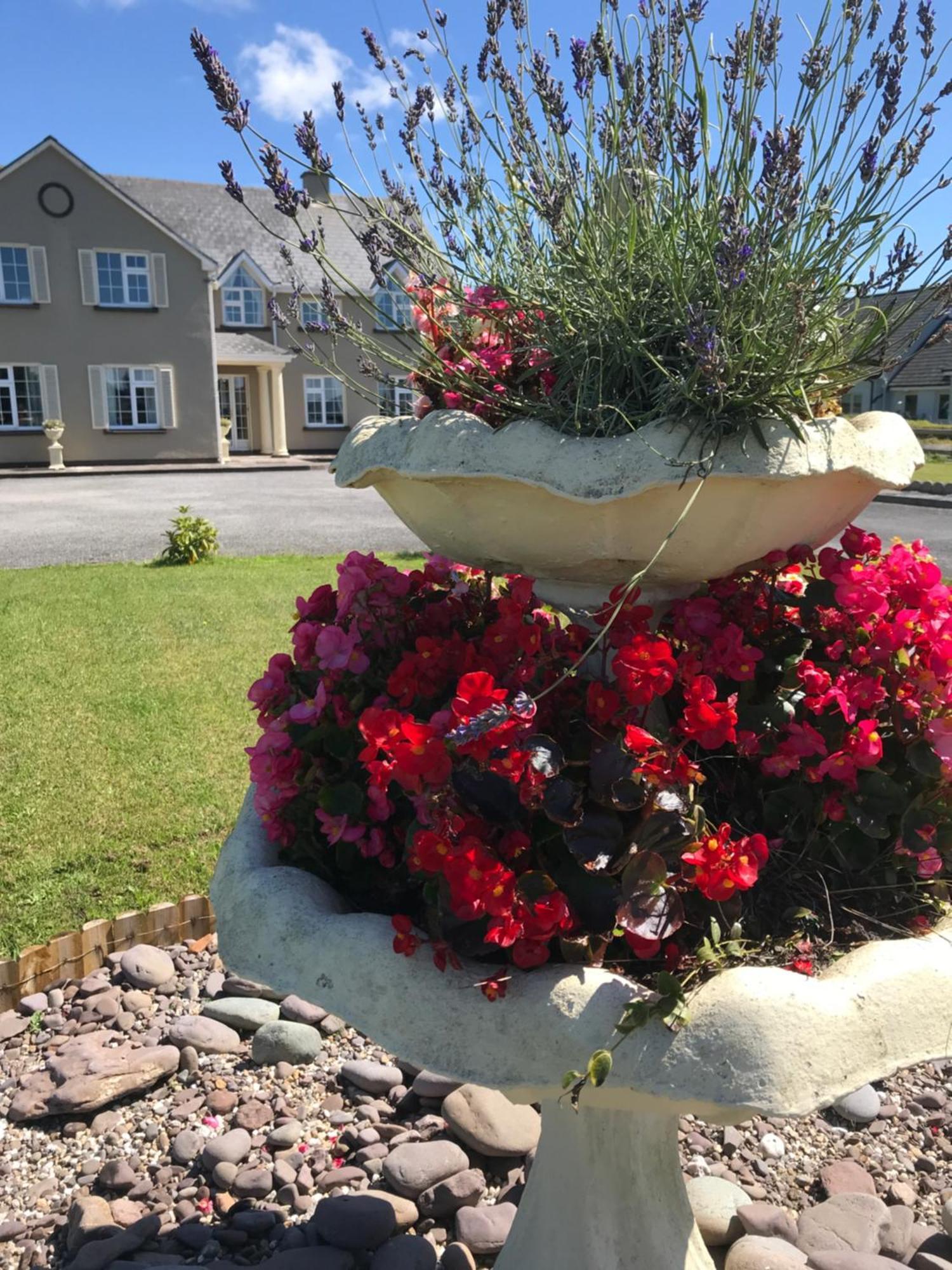 Kielty'S Of Kerry Bed And Breakfast Waterville Exteriör bild